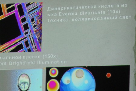 Scienceart – синтез науки и искусства