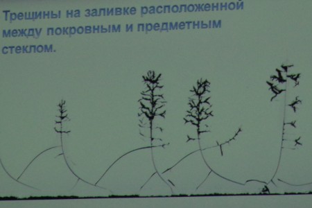 Scienceart – синтез науки и искусства