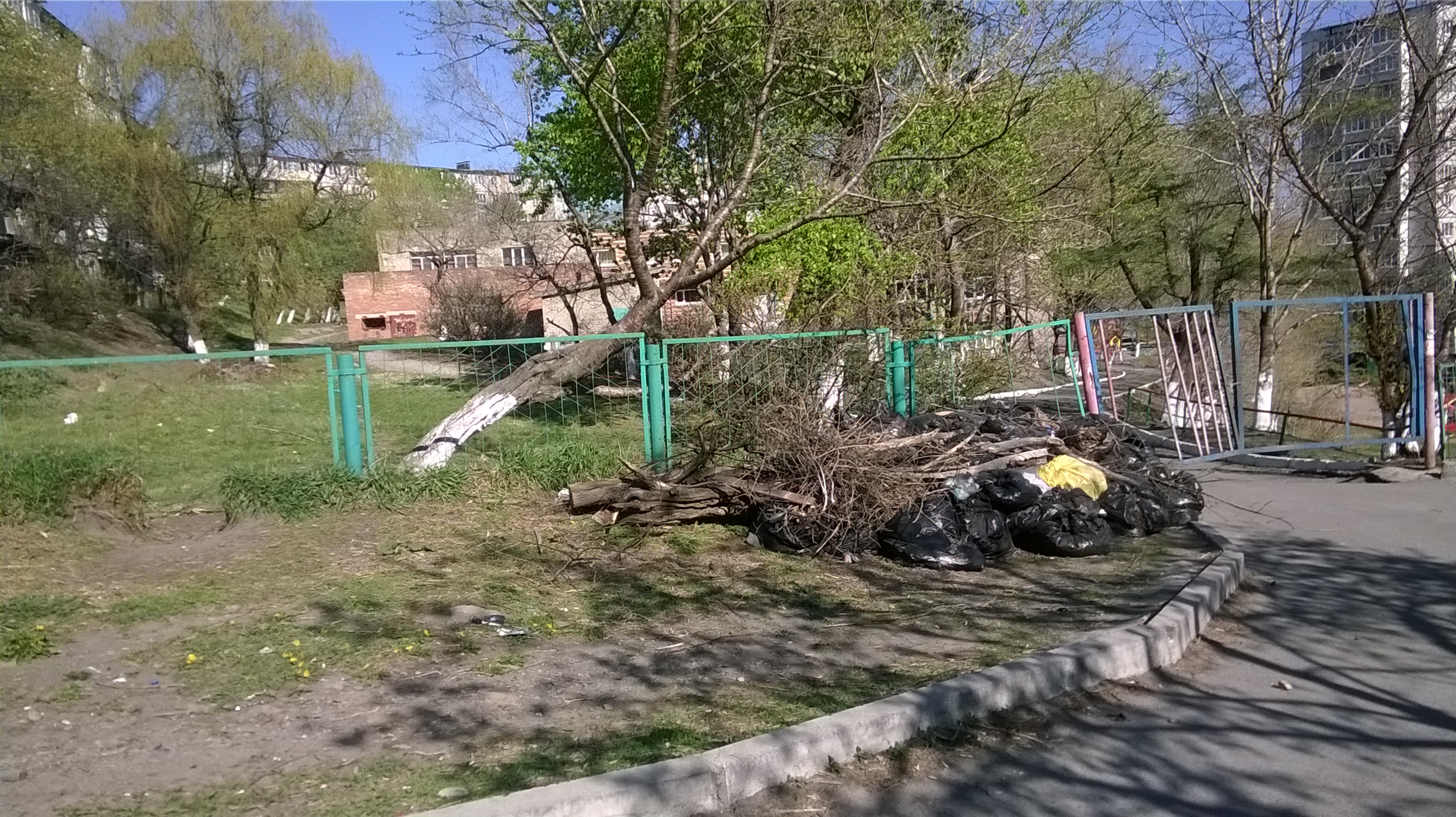 WP_20150510_003ТИхая