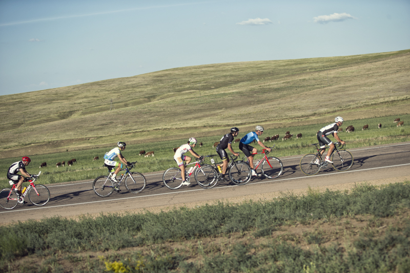 Mikhail Ignatyev, Kristof Allegaert, Thomas John, Paola Gianotti, Eduard Fuchs and Steve Harvey - Action
