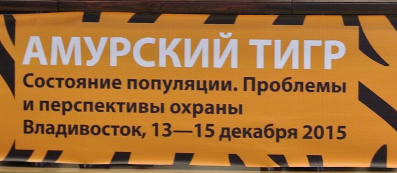 _DSC3251 тигггр