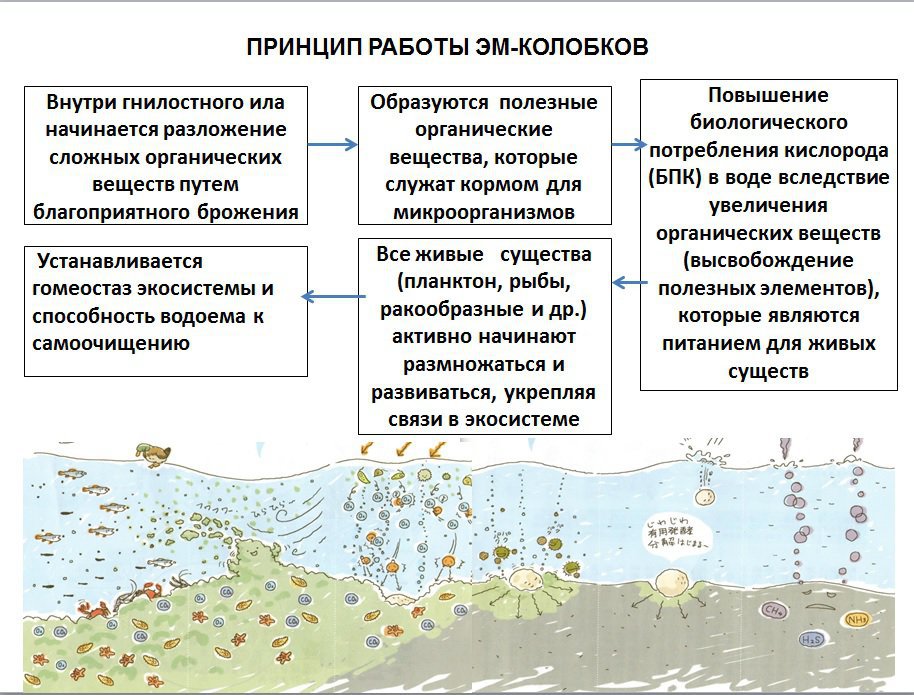 Колобки