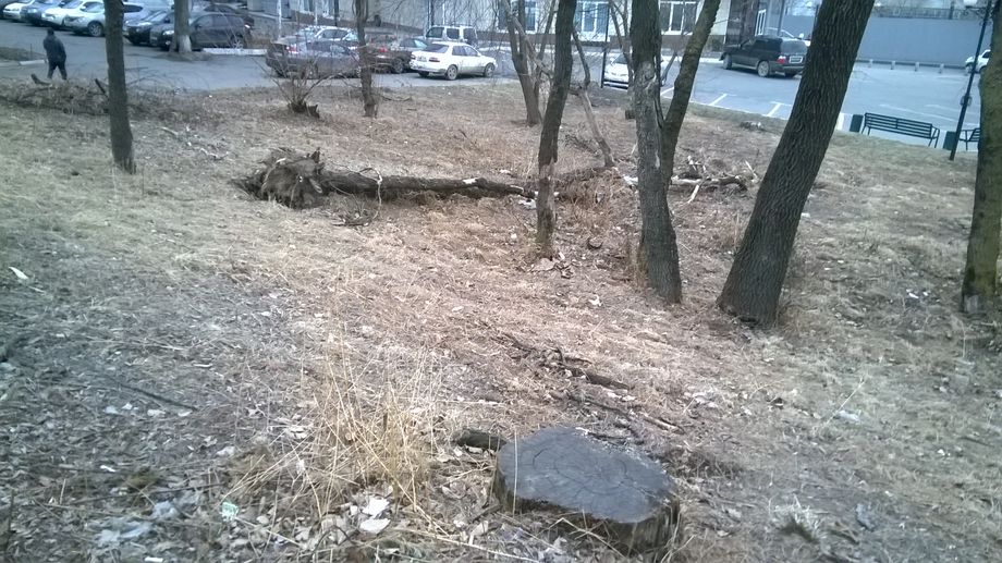 WP_20170320_005   999 by . 