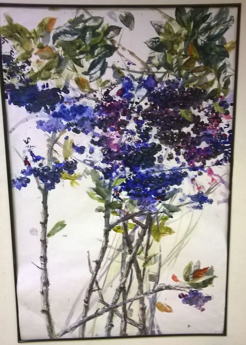 Черноплодка. 2015. бумага, акварель Егор Зарочинцев by . 