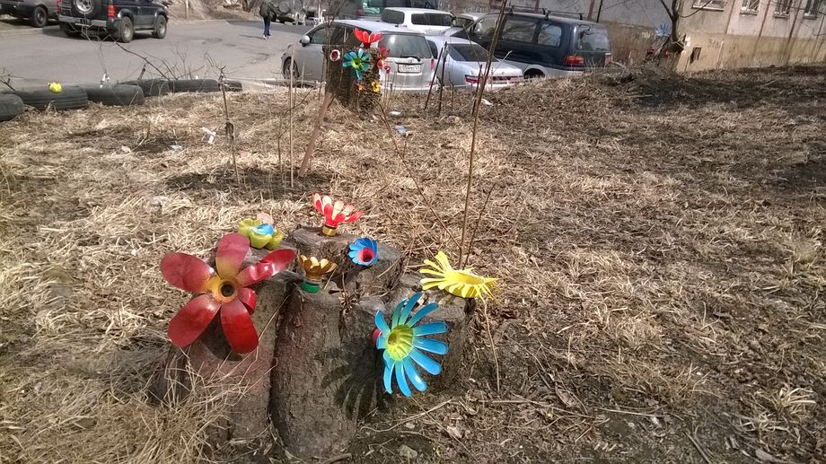 WP_20170402_005 пеньки by . 