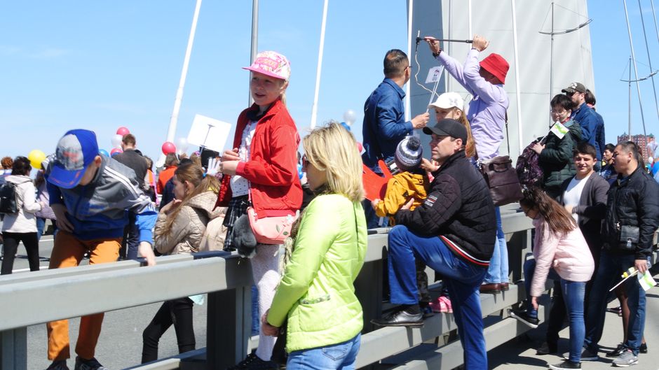 DSC_0703  зеваки DSC_0703  зеваки by .