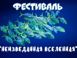 Фестиваль2017 Фестиваль2017 by .