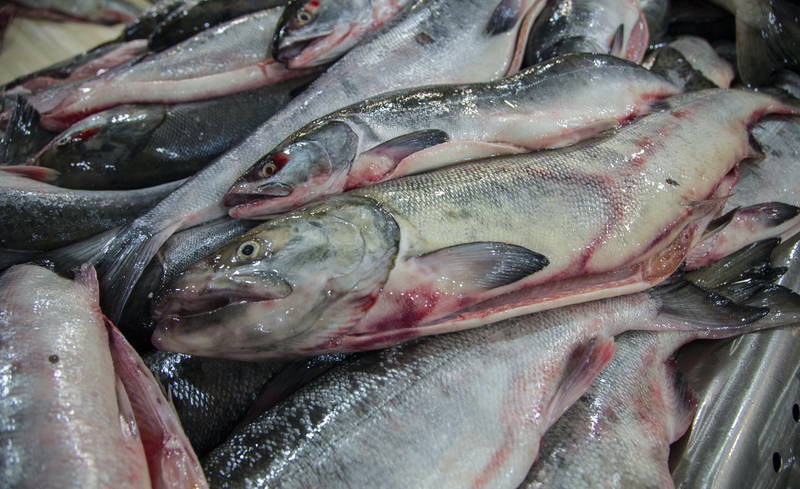 Рыбных отходов на Камчатке стало меньше