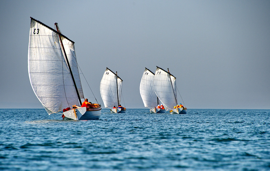 яDSC_9584 by Picasa. 