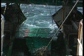 РыББАправв by . 