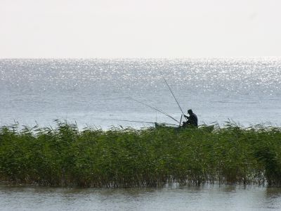 Ханка Ханка by .