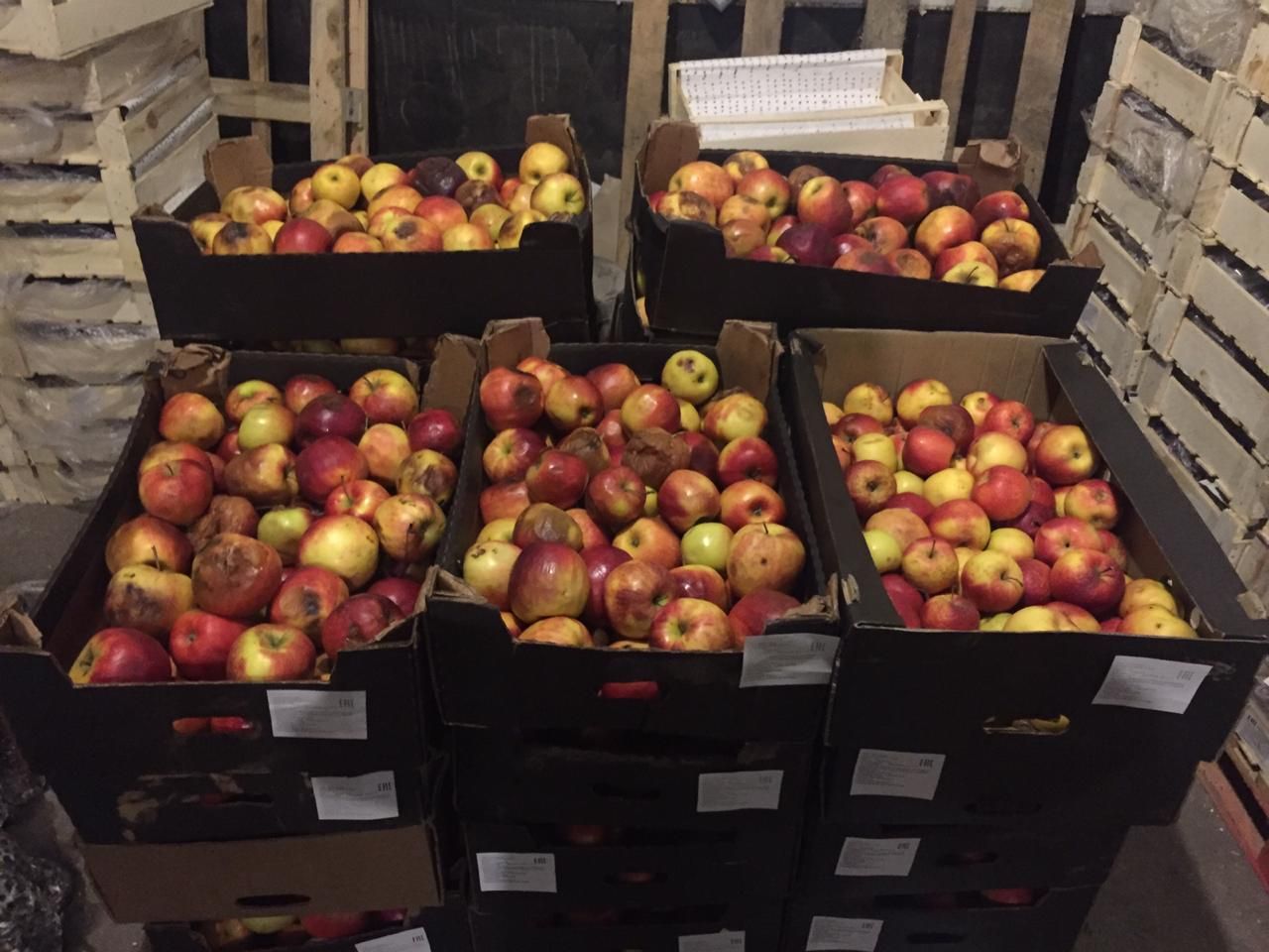 яблоки из Польши яблоки из Польши by .