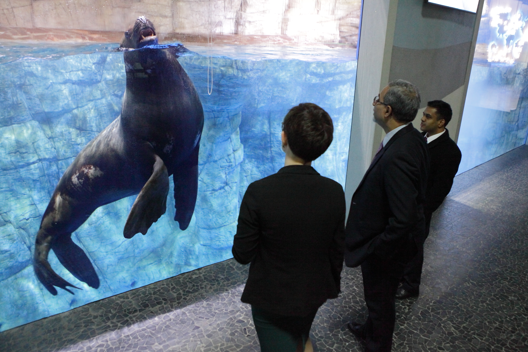 IMG_17811 посол Индии IMG_17811 посол Индии by .