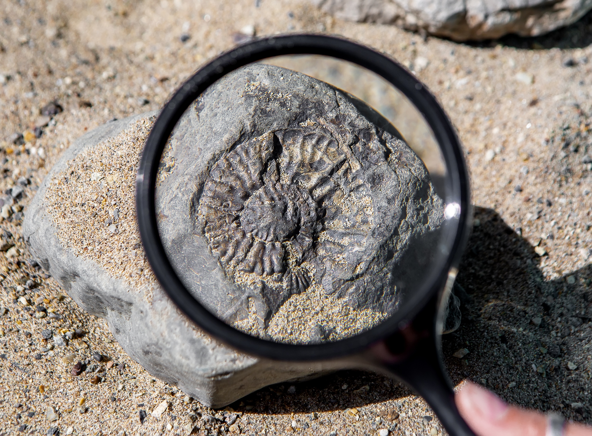 AA9A4891 палеонтологи AA9A4891 палеонтологи by .