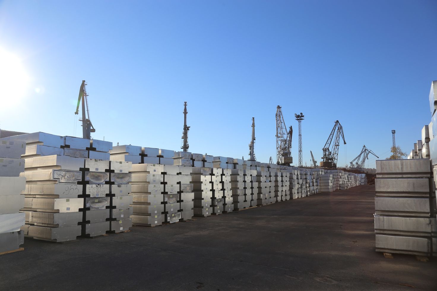 IMG_0111  111 IMG_0111  111 by .