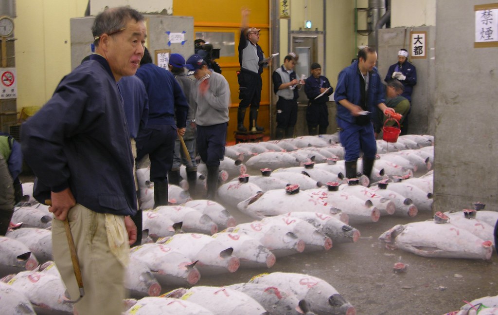 Рыбный рынок в Японии