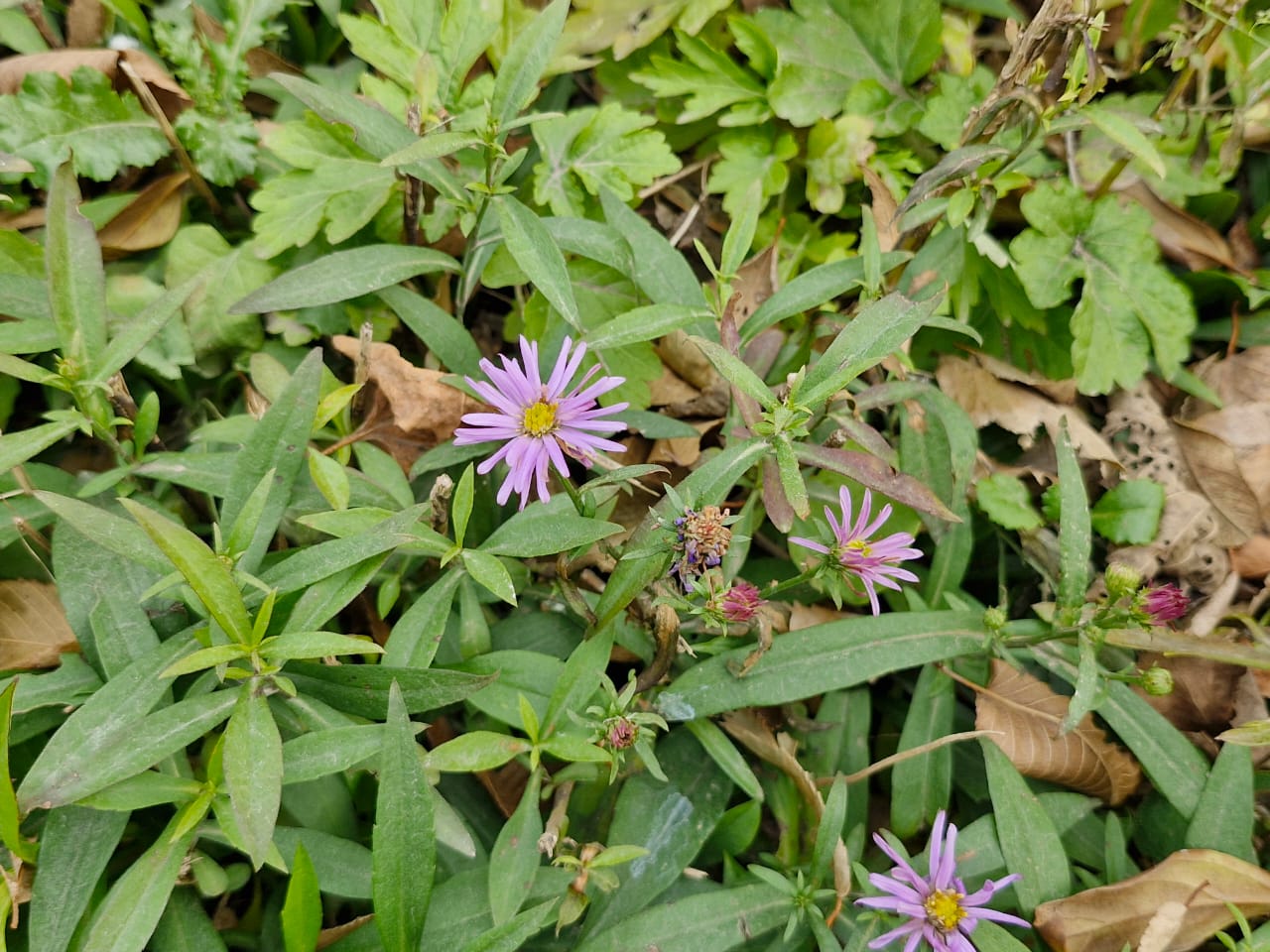 16 11 2025 4 16 11 2025 4 by .