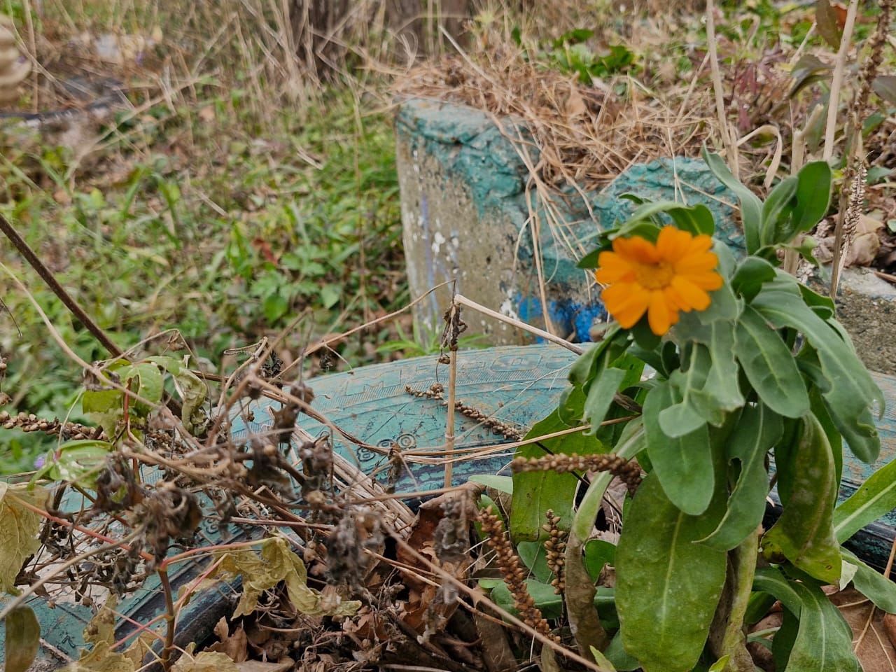 16 11 2025 5 16 11 2025 5 by .