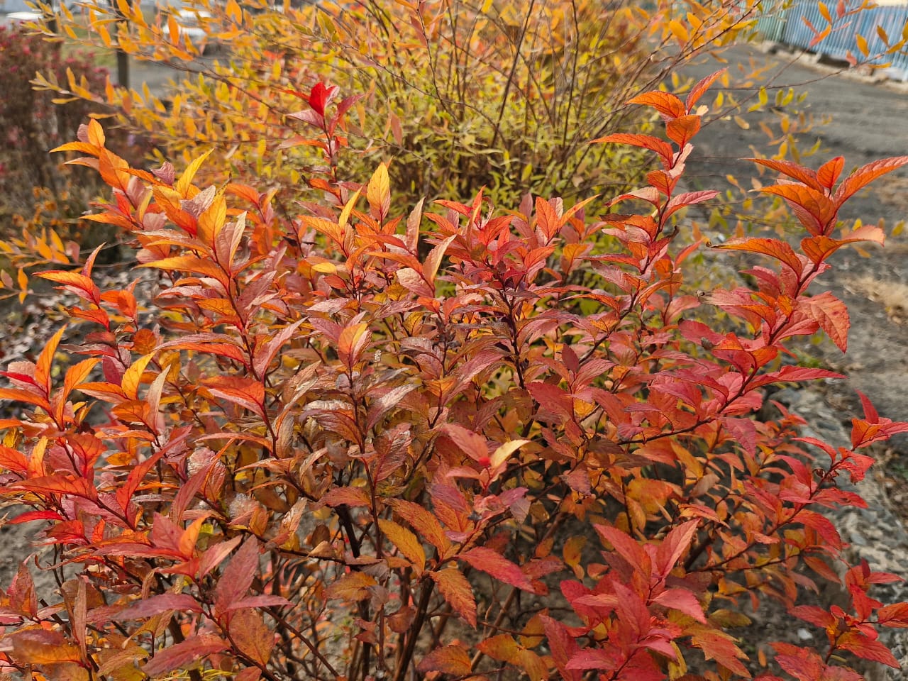 16ноября 16ноября by .