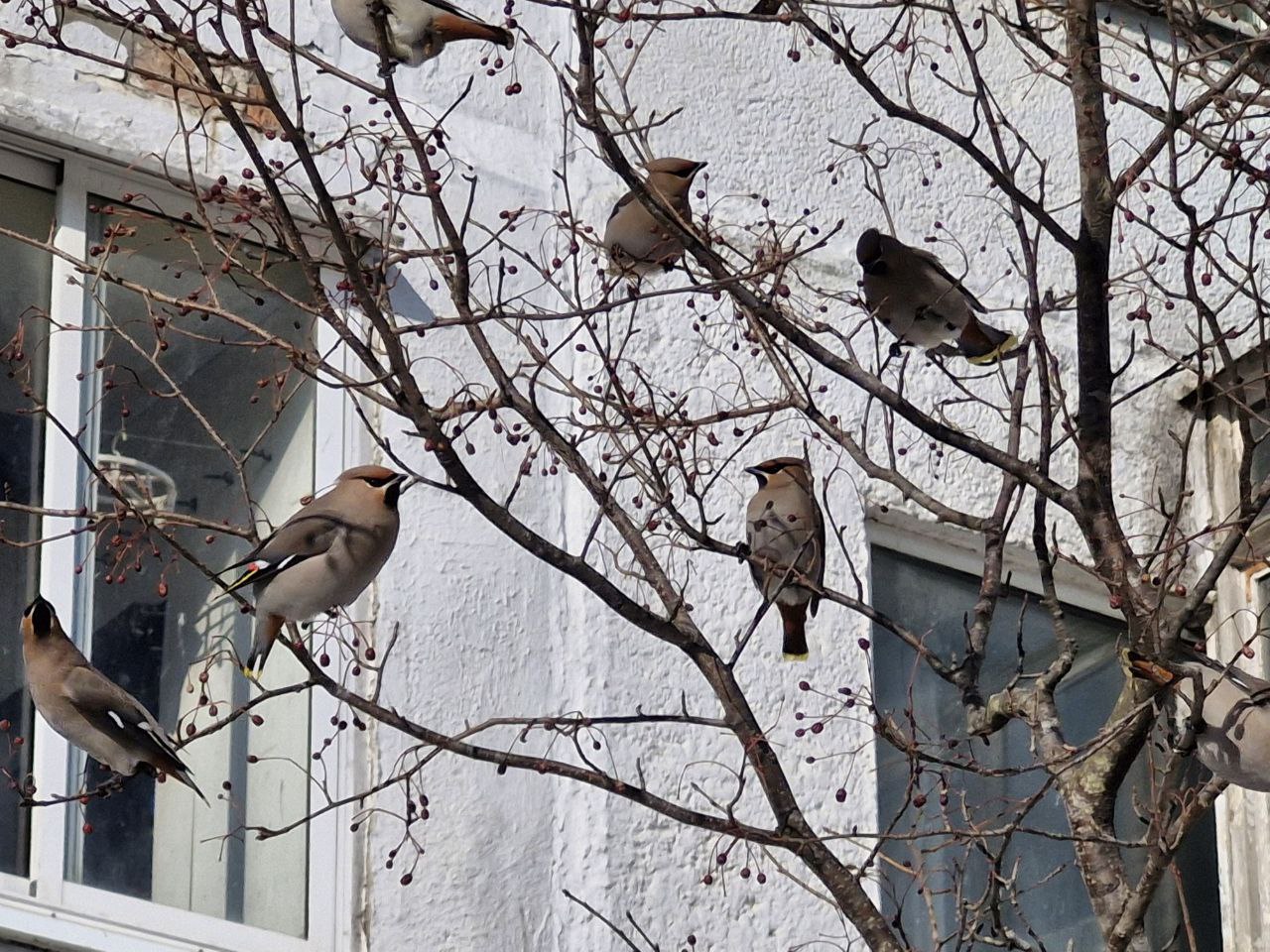 photo_5221932762057609690_y photo_5221932762057609690_y by .